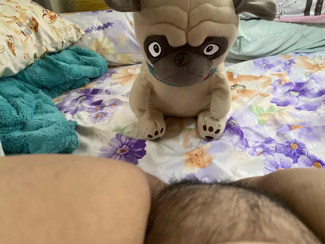 i dont think he’s enjoying the view… do you agree?! by blankeuphoria