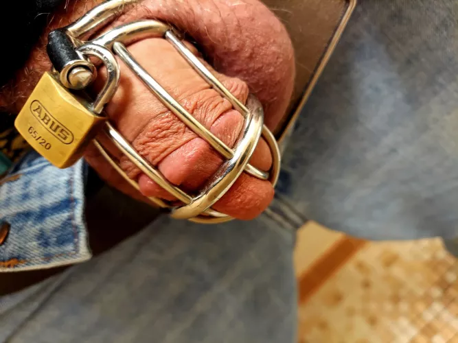 I don't think I've ever taken a more perfect picture of my cage. by kiltmanFL