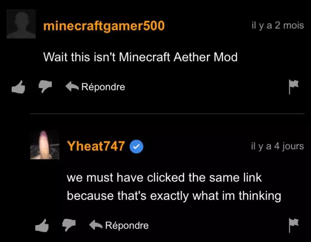 I dont think this is minecraft aether mod by JournalistAble2292