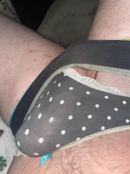I don’t want a dom, just want another panty and cock lover by Own_Ad4484
