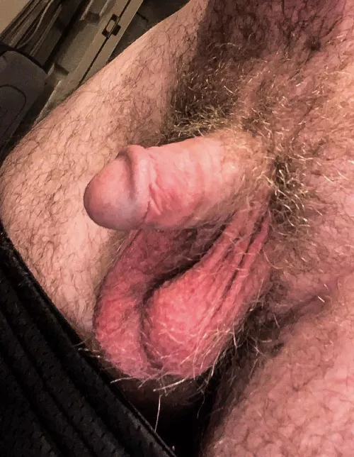 I feel like I have a nice looking cock. :) [18] by tiredtr33