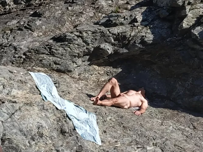 I feel you lizard by chageo