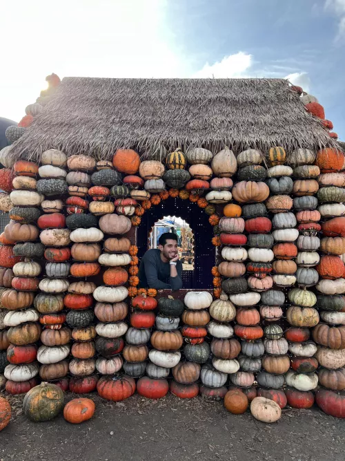 I finally found a home I like! by rharoju