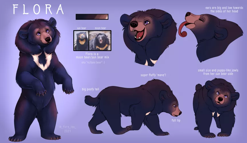 I finally made a ref sheet for my bearsona, Flora! by Flora-Tea