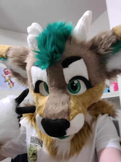 I forgot Fursuit Friday but I still want to show off my new boy Moss! Maker is @coycraftstudios :) by PepperFoxx