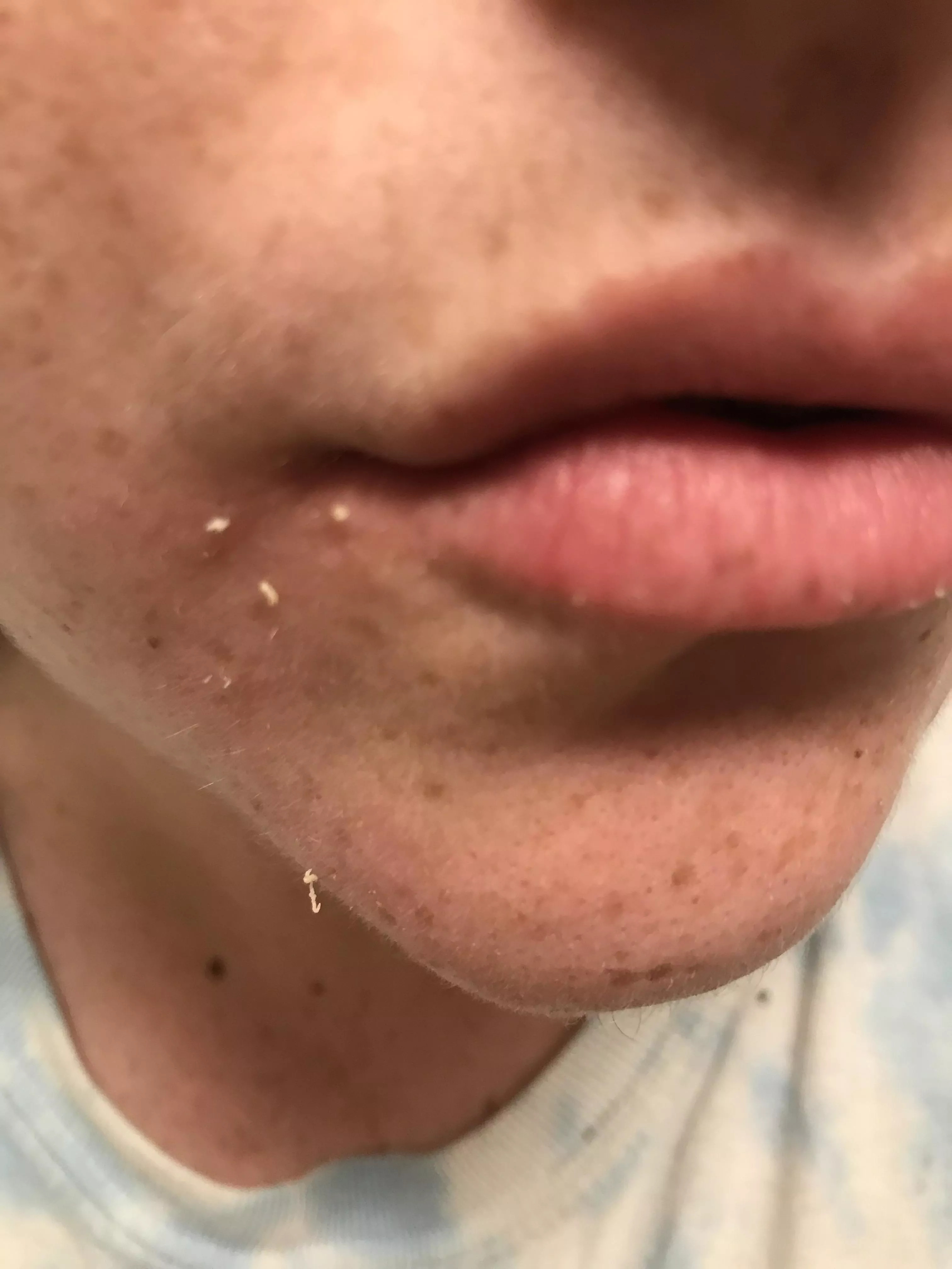 I get these little ones everyday posted by babbyybbluee