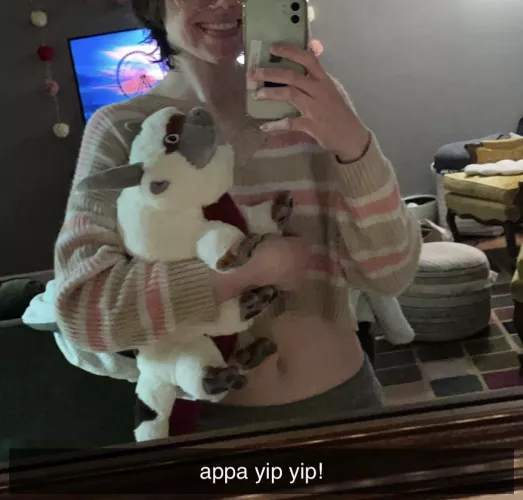 i got a appa plushie!!!! i love him so much he’s so soft😋 time to cuddle with my new friend and watch a movie🥰 by babyrae5