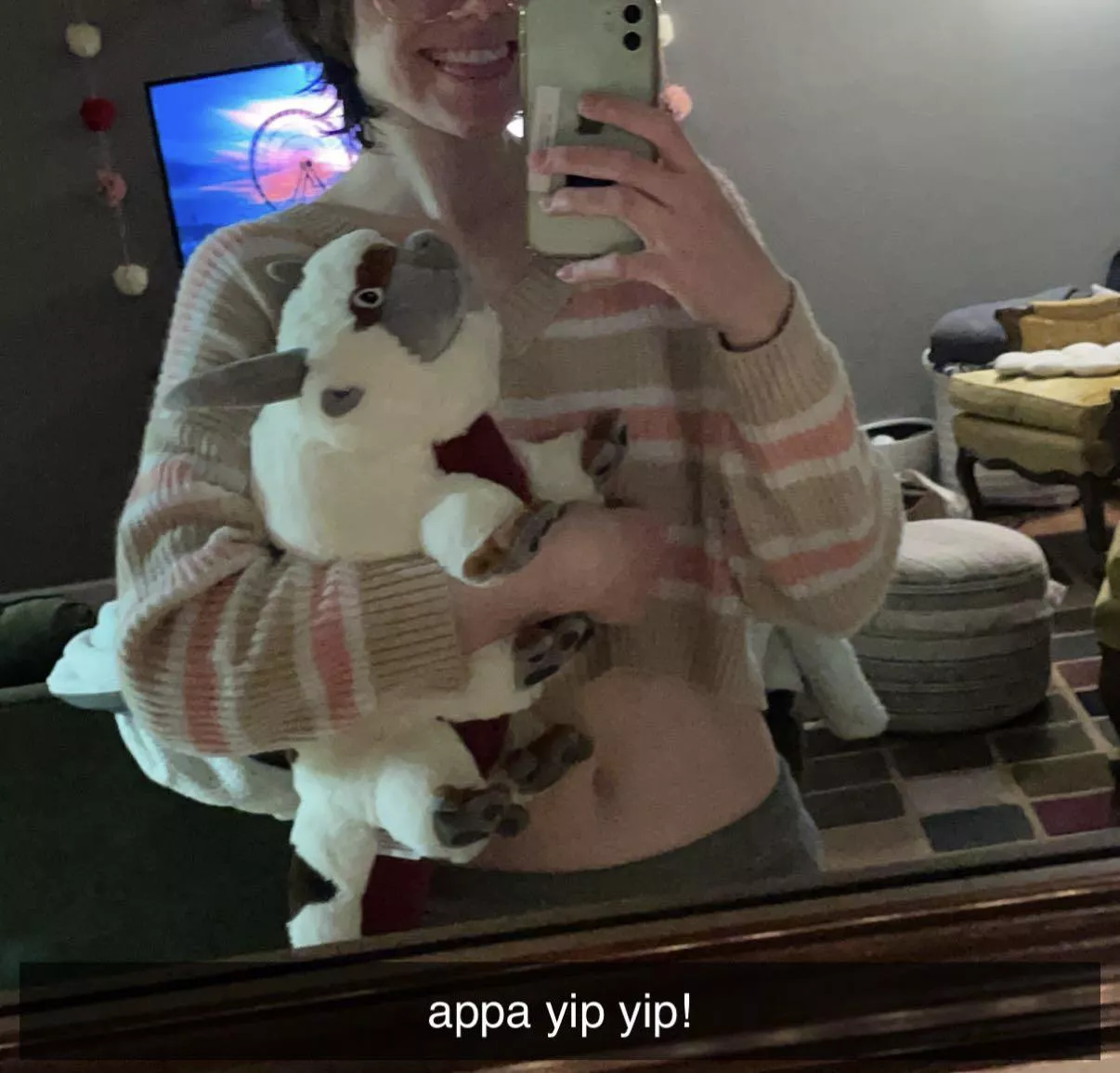 i got a appa plushie!!!! i love him so much he’s so soft😋 time to cuddle with my new friend and watch a movie🥰 posted by babyrae5