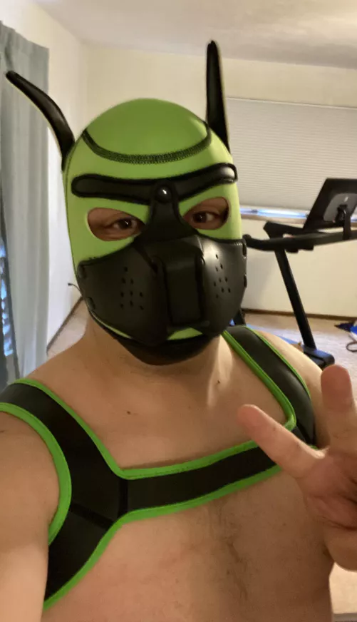 I got a new hood today. What do you all think? by caseface909