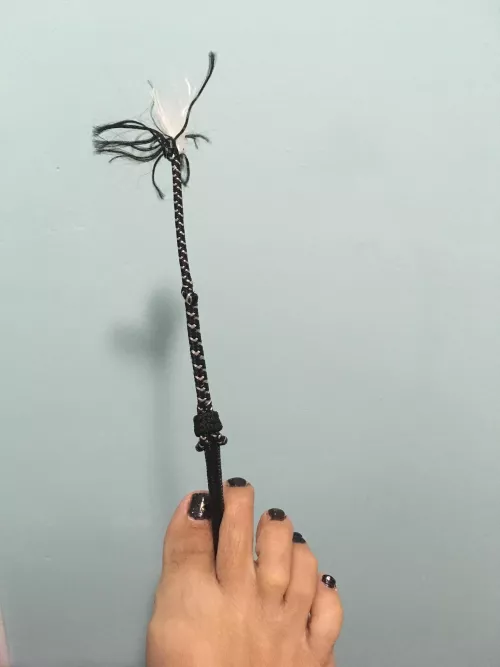 I got a new whip! by MistressHANDA