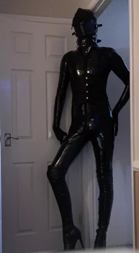 I got my first catsuit and I feel AMAZING by just-here-to-say-hey