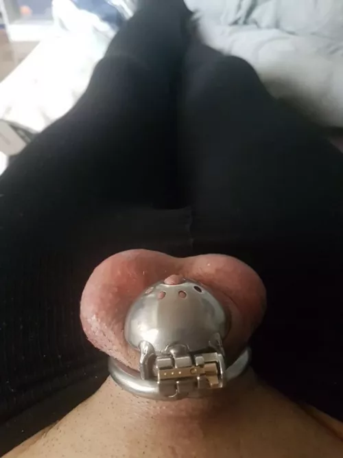 I got my new cage, how long should i stay locked? by 201Brutosaurs