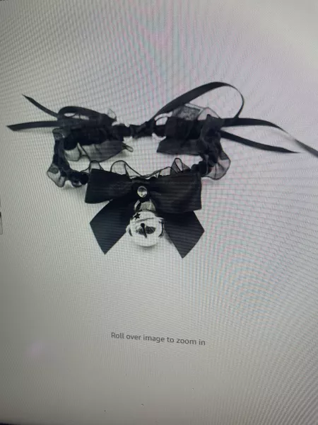 I got to *kind of* choose my first collar. It’s more of a choker. But what do y’all think 🥰 by godofwarmth386