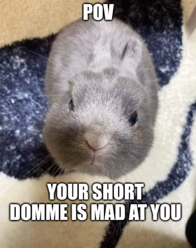 I guess I'm in trouble now. posted by TheMorbidToaster