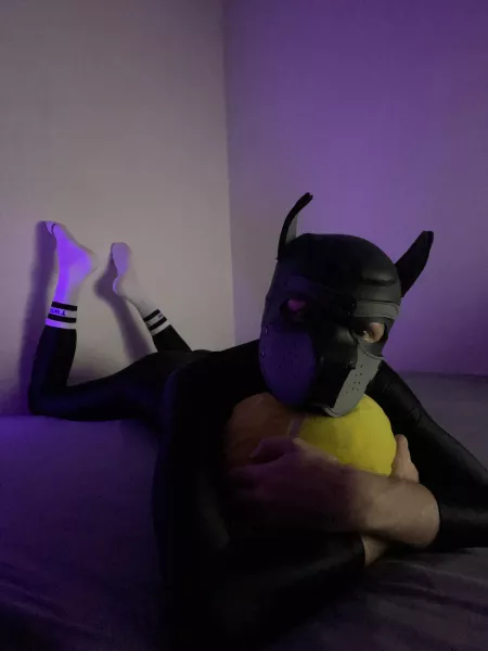 I have a ball! 🎾 by puppyrufus