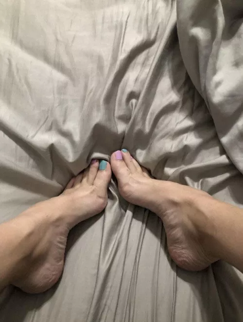 I have a hangover. Can someone cum rub my feet for me?🥰 by MichellesSissyWorld