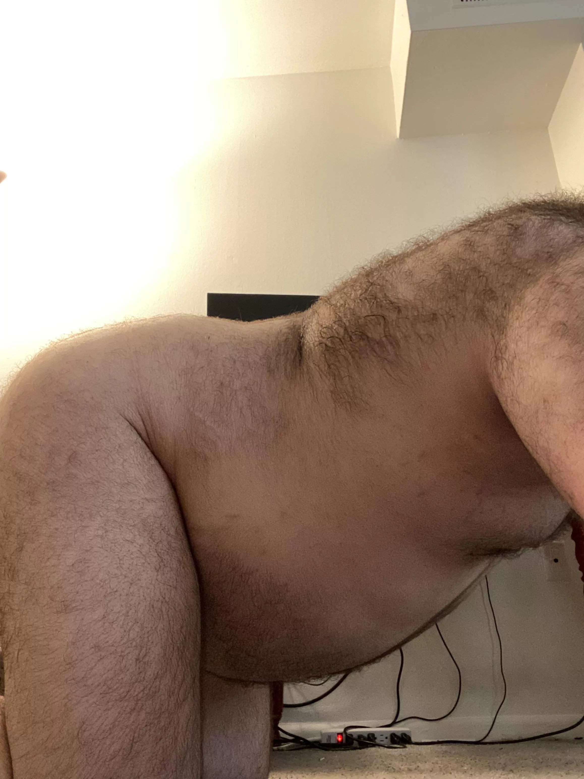 I have a lot for you to hold onto 🐷 posted by TheLazyHermit11