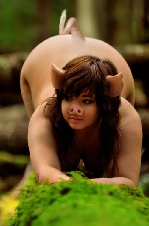 I have found myself a wild pig. How do I take care of her?