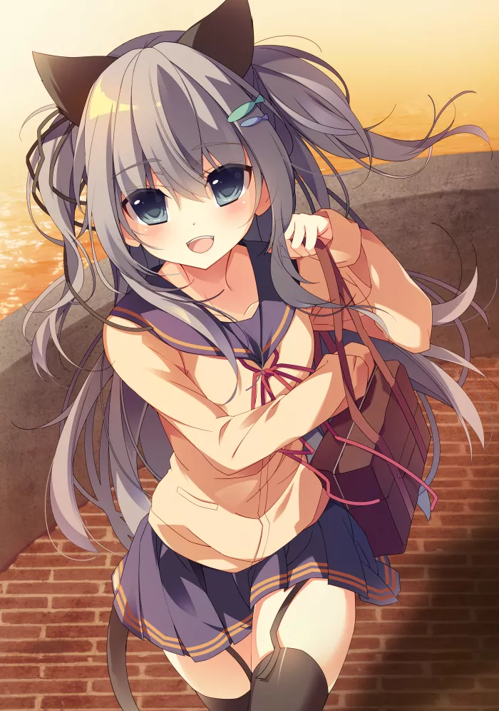 I have something for you! posted by Dhova