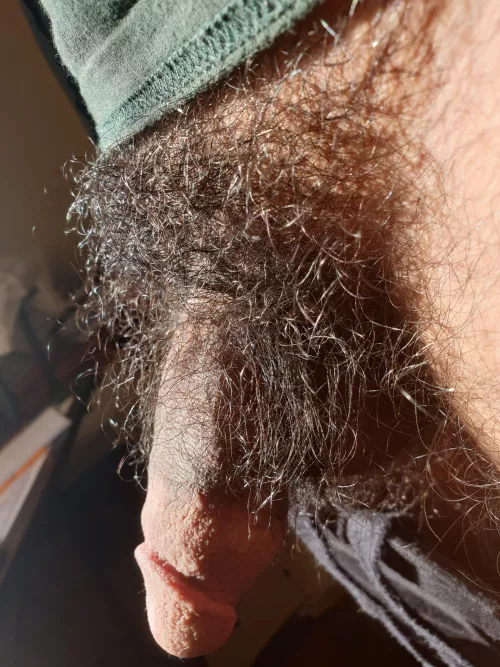 I haven't shaved in years by Tootie20088002