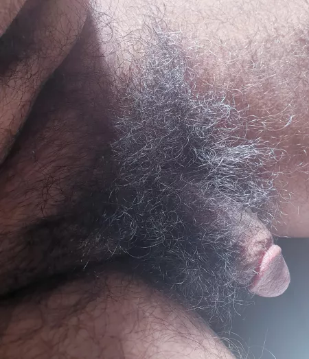 I haven't shaved in years🙈is it too much? by Tootie20088002