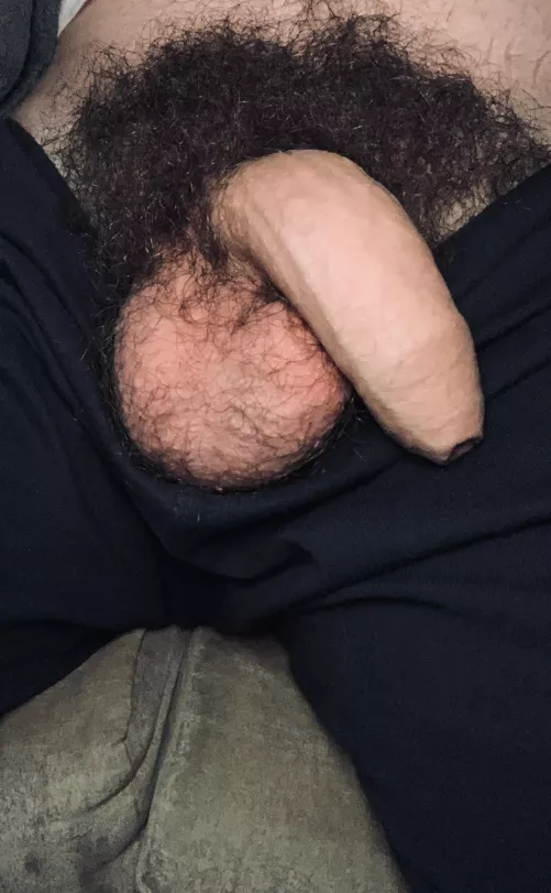 I heard you like hairy! Lick me Dm by tokio6969
