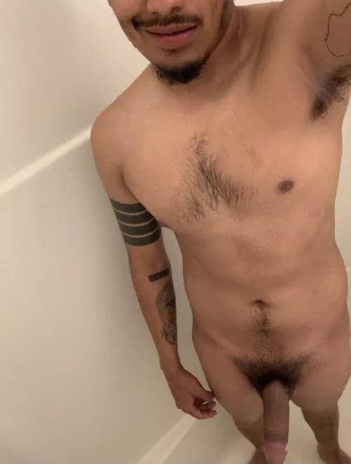 I hope someone has a chance to do this one by steliio14