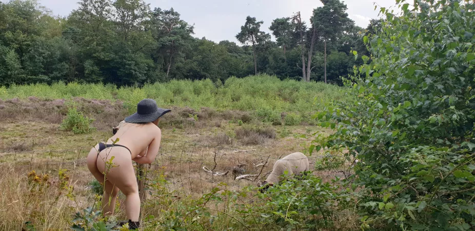 I hope the sheep don't mind me wearing no clothes.. oh and those people walking their dogs ofcourse 😌 by CY007800