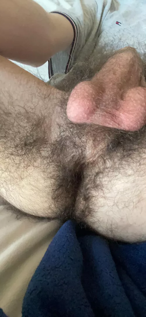 I hope you don’t mind hair stuck in-between your teeth by secret_agent_69