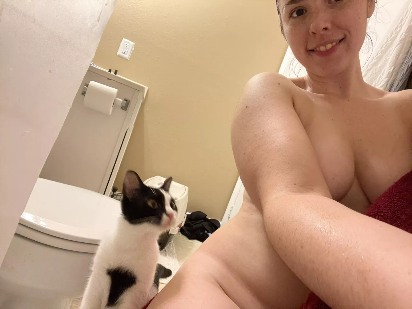 I just adopted a kitten!!! 😻 posted by ellietheelephant29