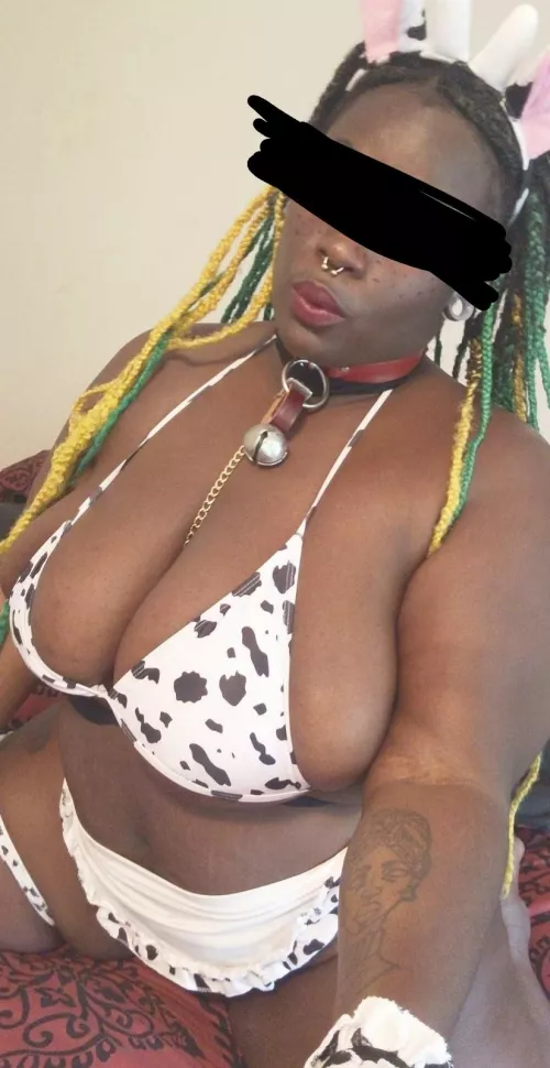 I just have to say one thing. Moo!