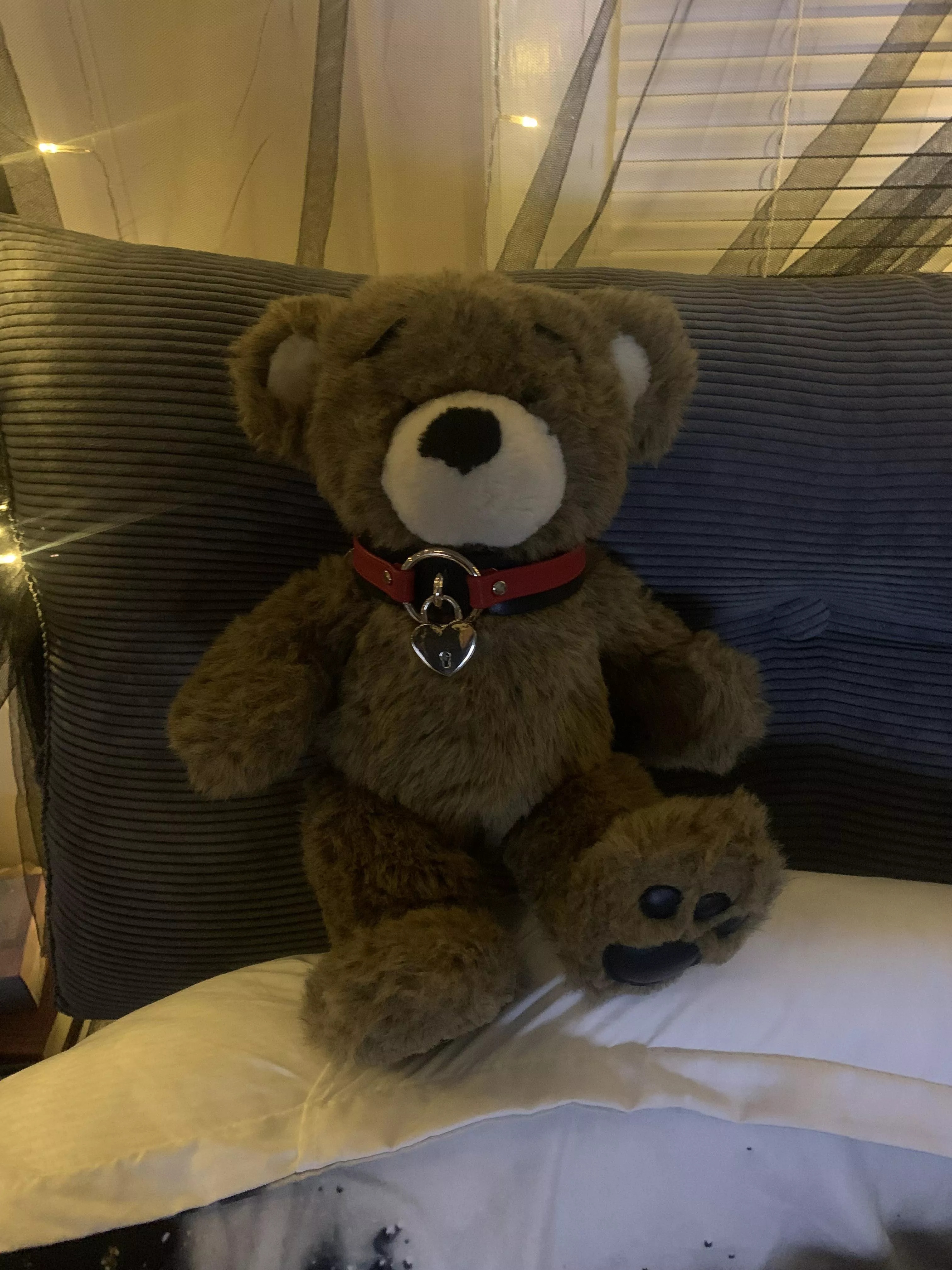 I just joined this subreddit and wanted to share my favorite stuffie! Mr. Snuggles is in charge of keeping my play collar safe when Puddin’ (my DD) doesn’t think I need it and I just want to wear my day collar. 💕🥰 posted by Goddess_P3rs3ph0n3