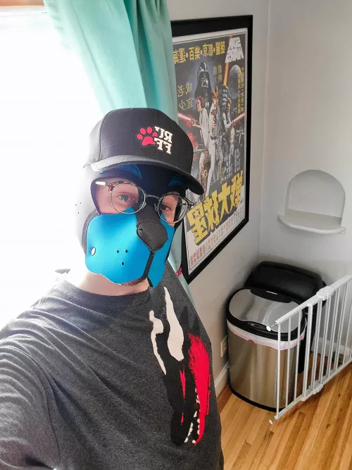 I just wanna be a good boy! 🐶 by PiercedPupp