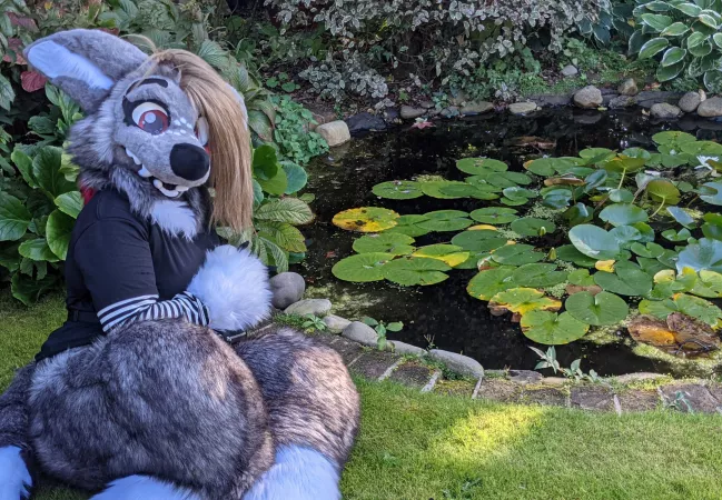 I just want to be a frog, is that too much to ask?🥺 by VampyBooXO