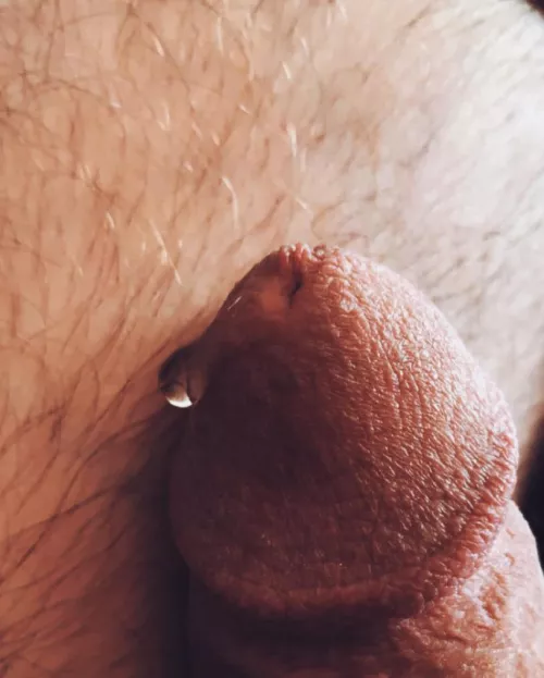 I leak so much pre I don't use lube when I fuck raw. by jerseyjaxoff
