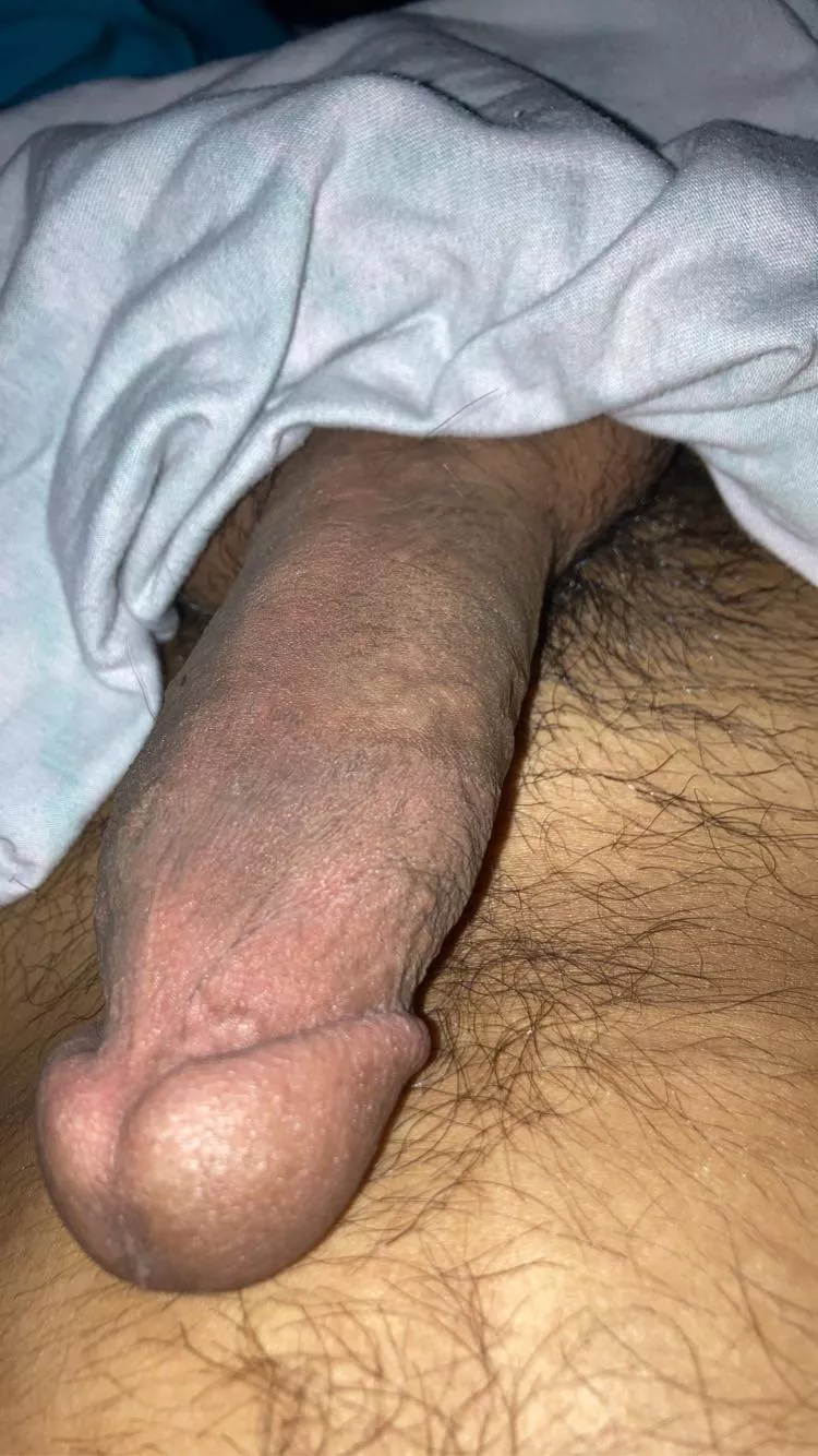 I like bbws in lace posted by HonestCount8401