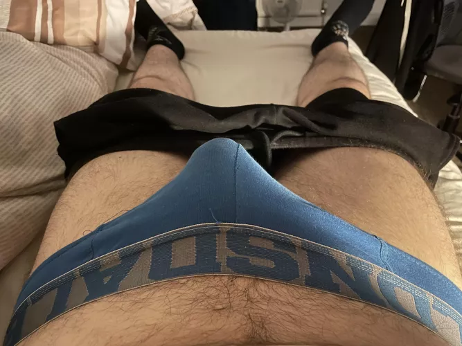 I like the way these briefs show it off. What do you think? by LycanOtter