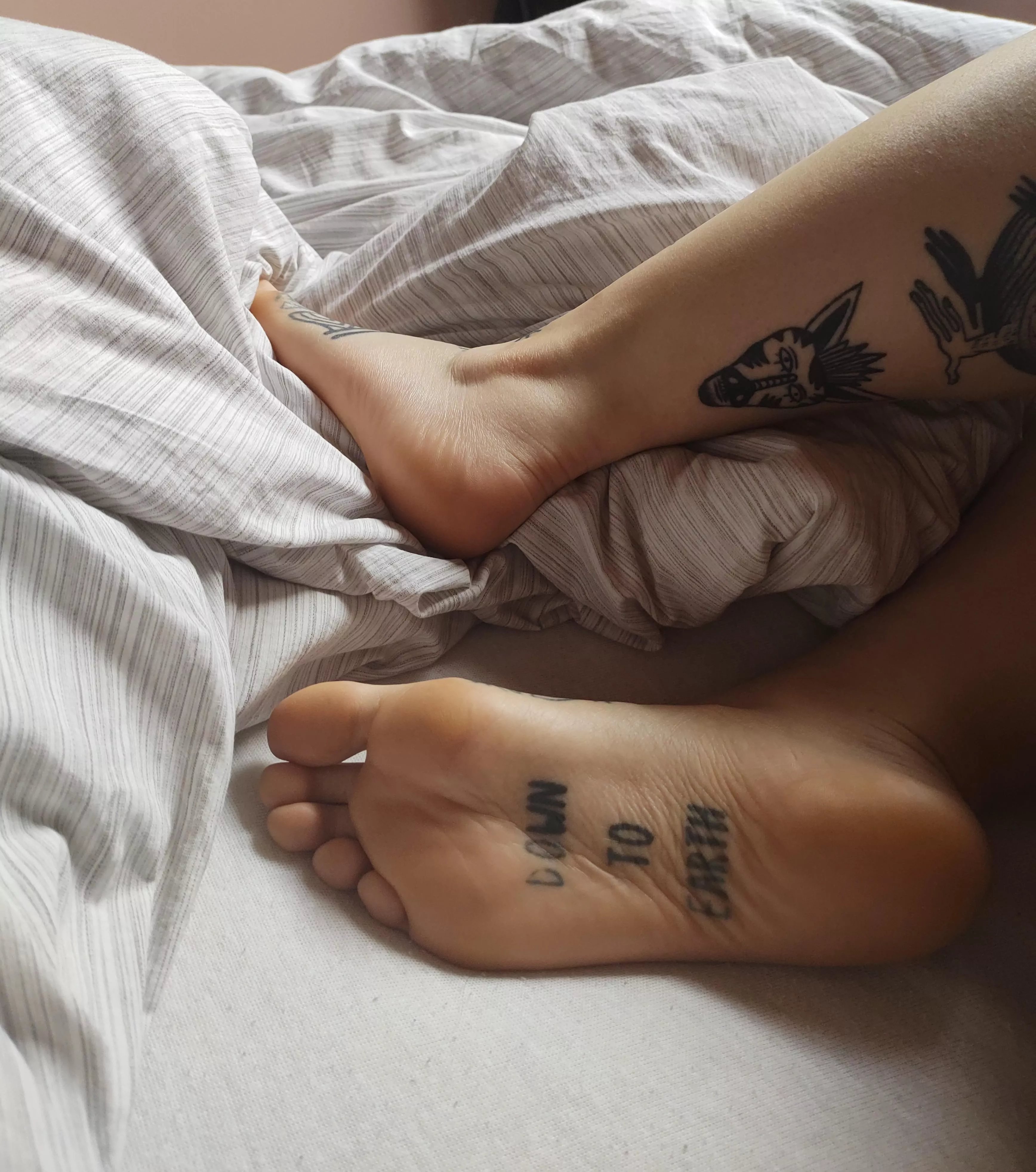 I like tickles 🤭 posted by [deleted]