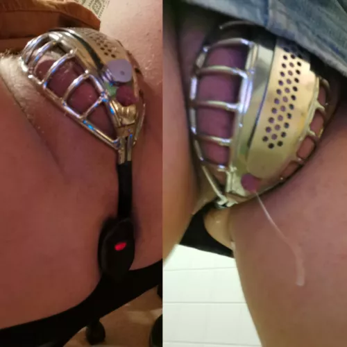 I live letting random people control my hush. I get so wet but can't cum :( by donttrip191