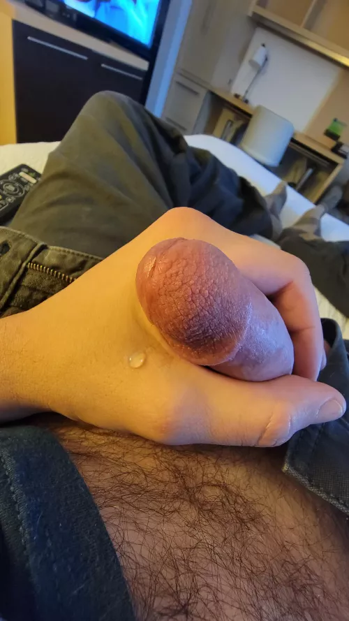 I live the drip by Secure_Primary_5879