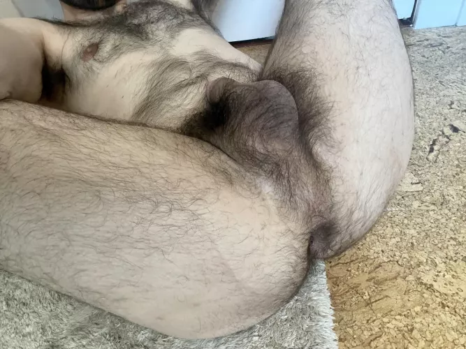 I love all my fur equally by latentpig