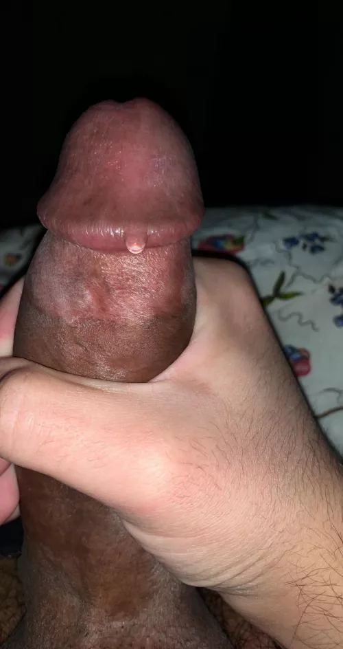 I love asians but is my dick good enough for asian girls? by Just4FunHere1