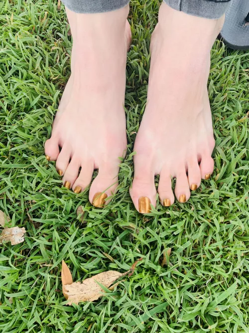 I love cool grass on summer days by Brazen_Cupcake