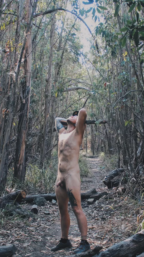 I love eucalyptus by theprimeprof