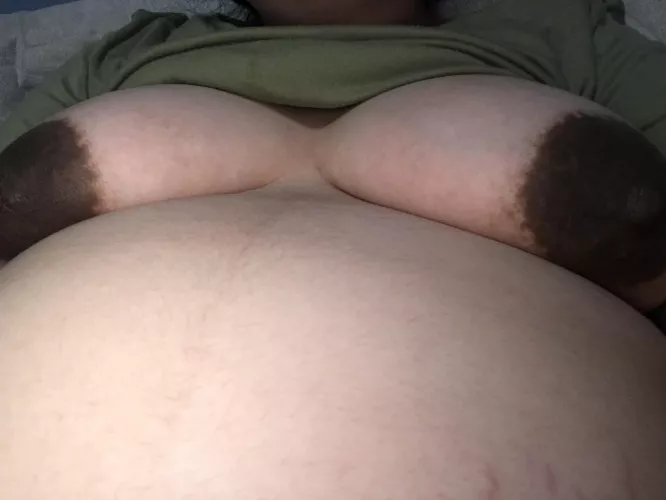 I love getting tummy rubs and getting spoiled by dolceland