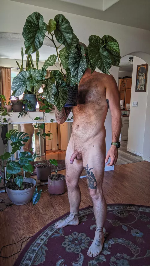 I love my begonia by theprimeprof