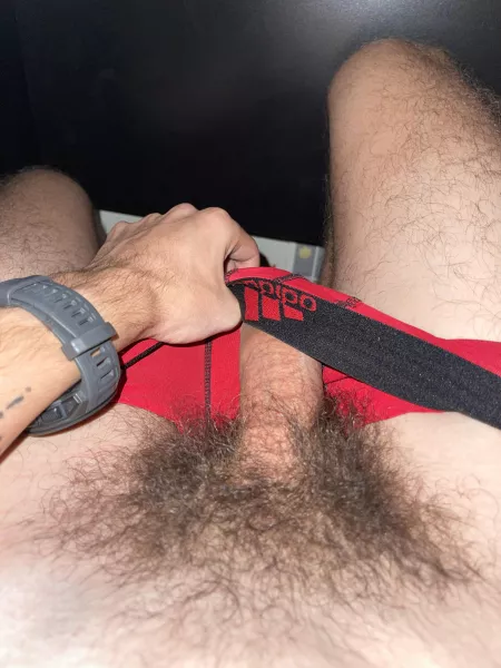 I love my bush ;3 by Trippl3Z