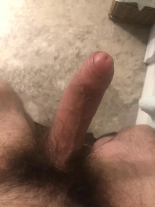 I love my bush by SnooSquirrels571