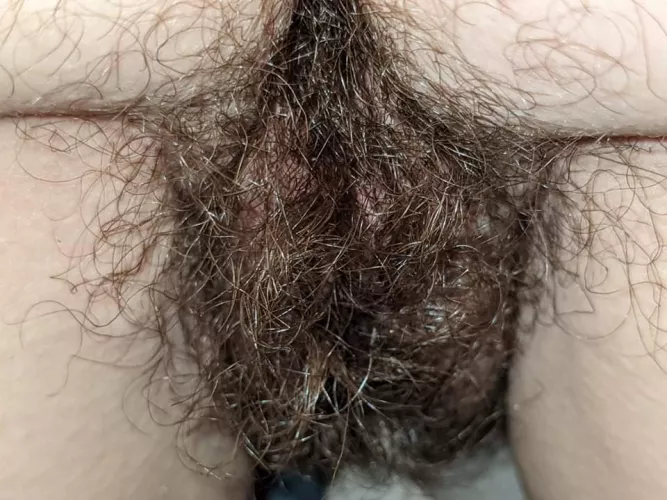 I love my bush 🤎 by ScarredCashmere