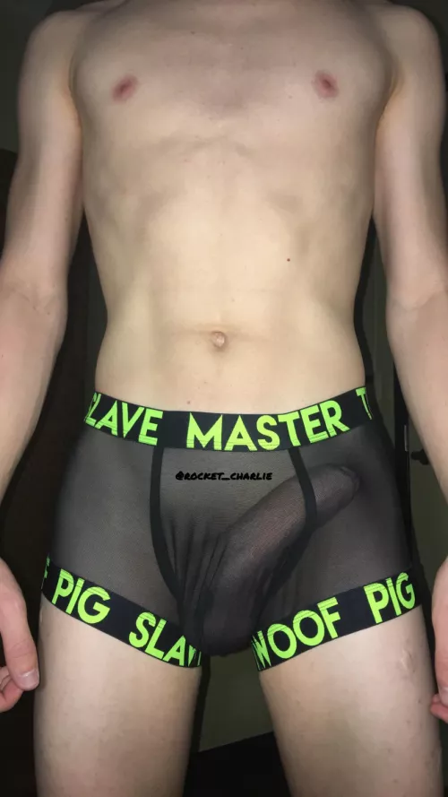 I love my donkey college dick 🥰 by charlierocket1
